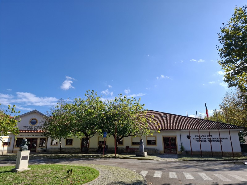 Fazer o bem sem custos: Apoie a Fundação ADFP!